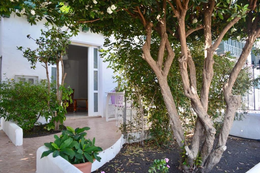 Playa Chica Apt With Terrace 100 M From The Sea Puerto del Carmen  Exterior photo